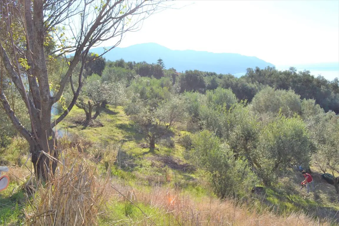Land Of 8841 M² In Corfu