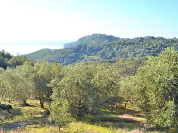Land In Corfu, Greece
