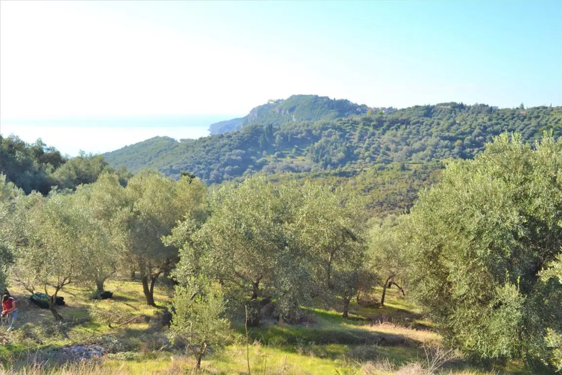 Land Of 8841 M² In Corfu