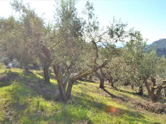 Land In Corfu, Greece