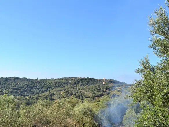 Land In Corfu, Greece