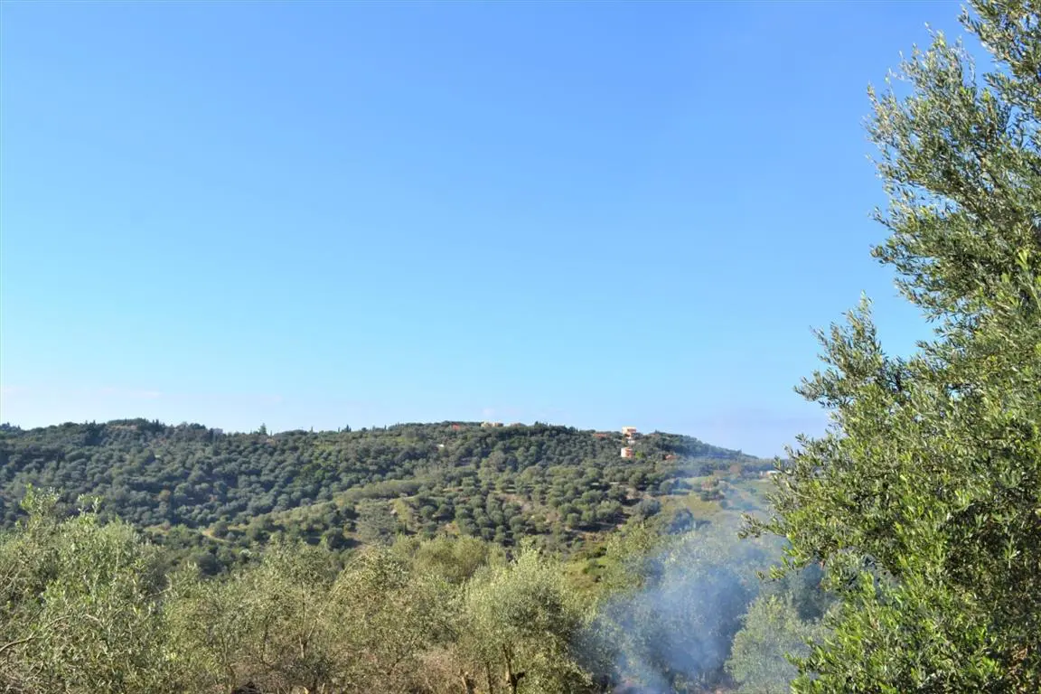 Land Of 8841 M² In Corfu