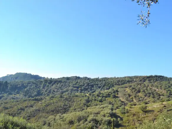 Land In Corfu, Greece