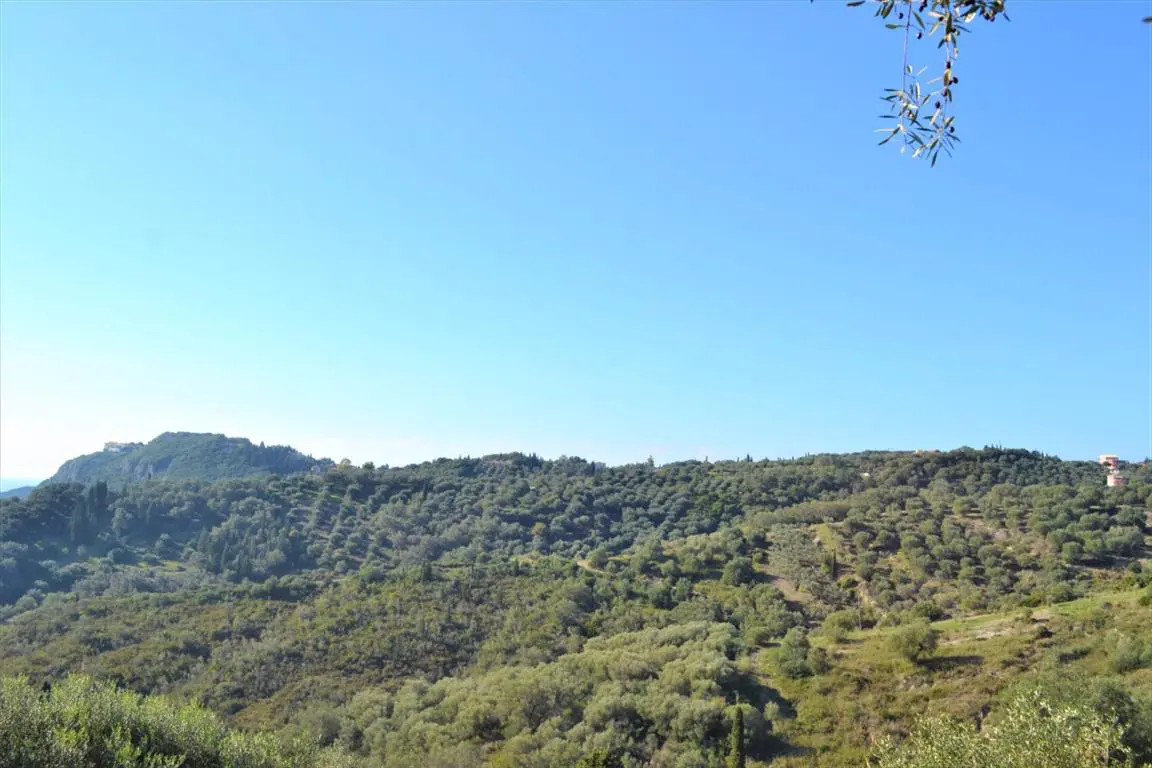 Land Of 8841 M² In Corfu