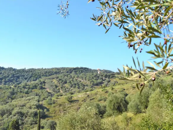 Land In Corfu, Greece