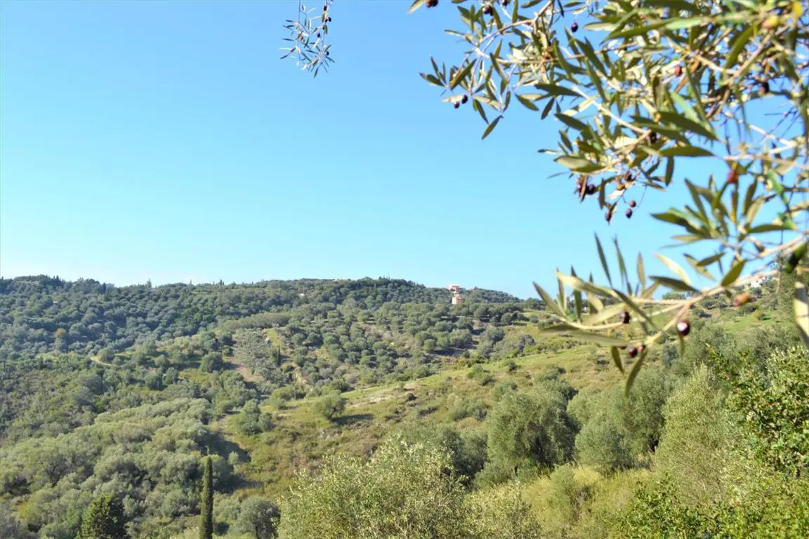 Land Of 8841 M² In Corfu