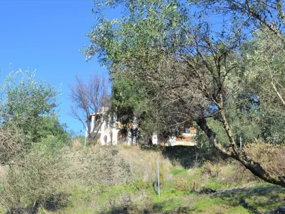 Land In Corfu, Greece