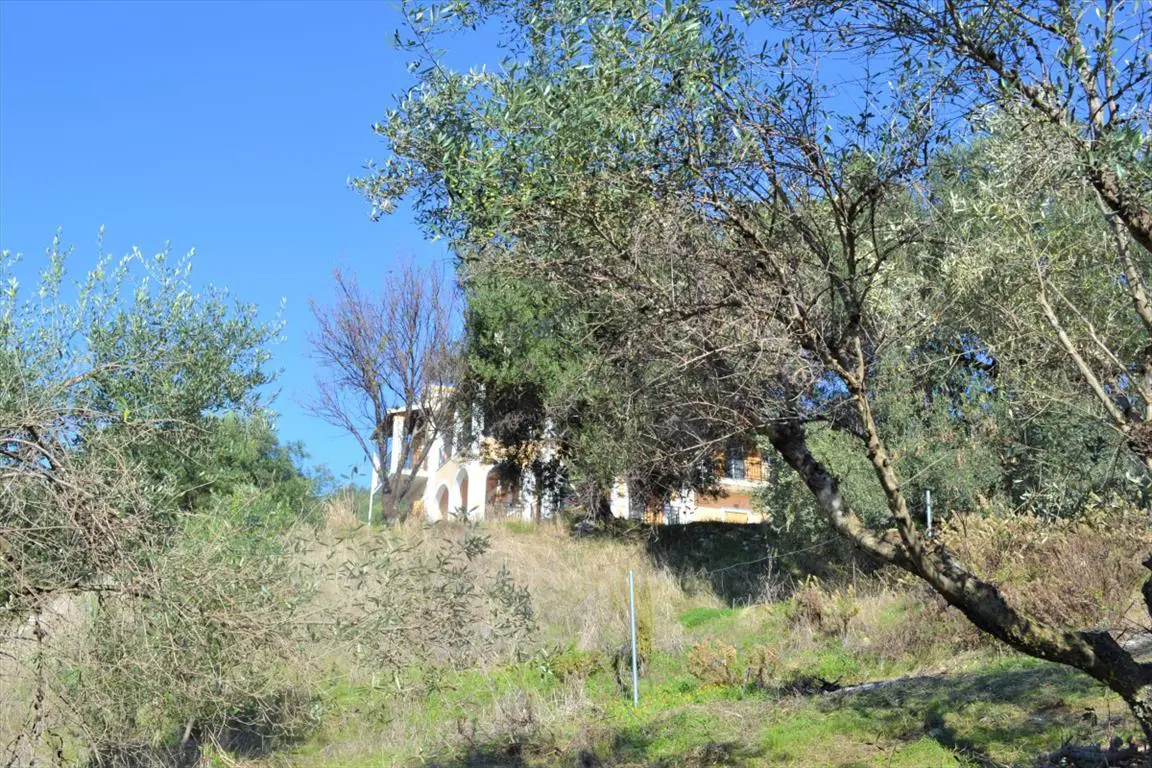 Land Of 8841 M² In Corfu