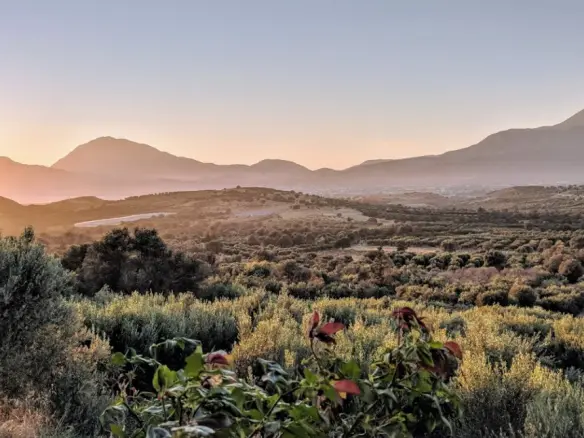 Land Of 1800 M² In Crete