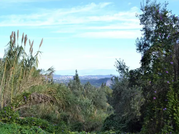 Land In Corfu, Greece
