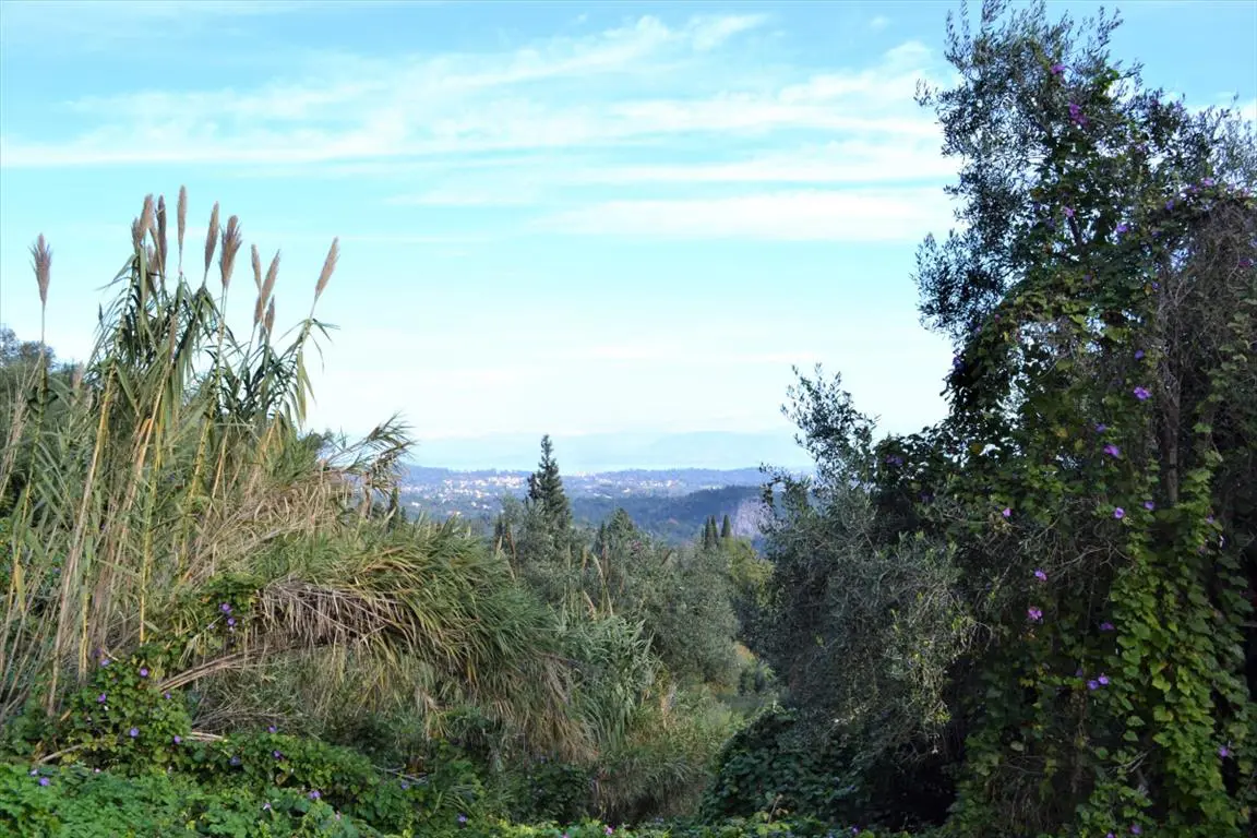 Land Of 4150 M² In Corfu