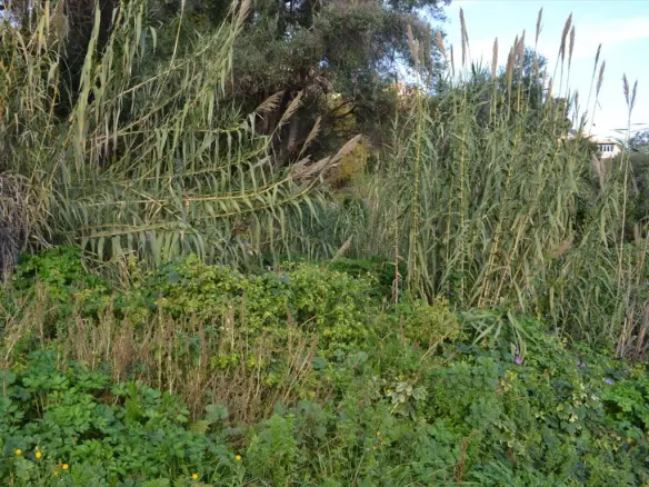 Land In Corfu, Greece