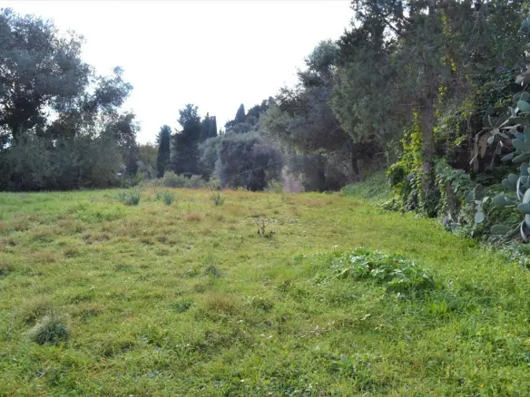Land In Corfu, Greece
