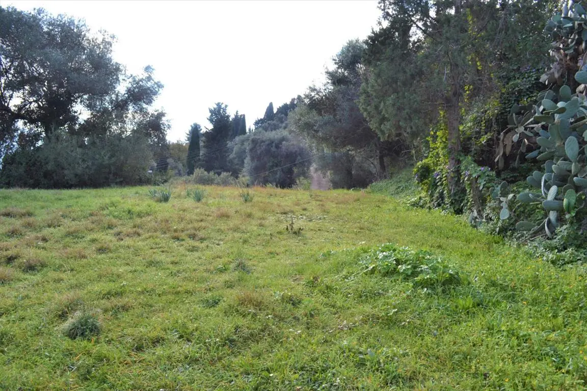 Land Of 4150 M² In Corfu