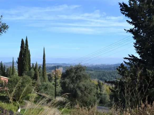Land In Corfu, Greece