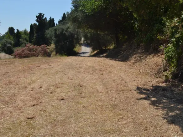 Land In Corfu, Greece