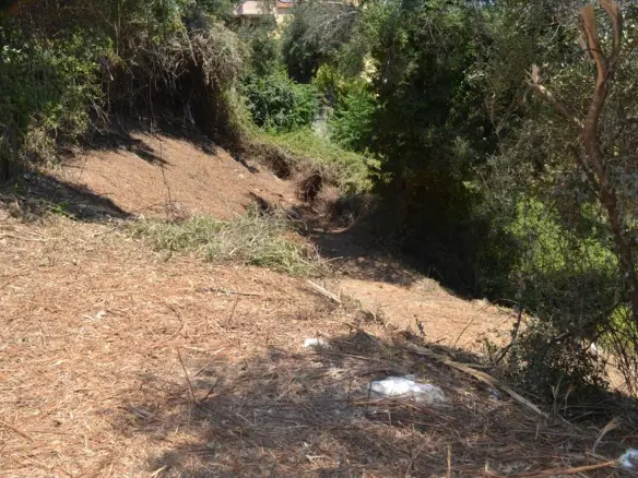 Land In Corfu, Greece