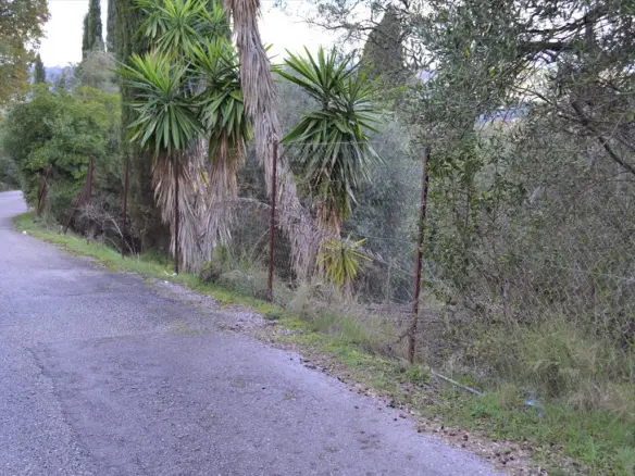Land In Corfu, Greece