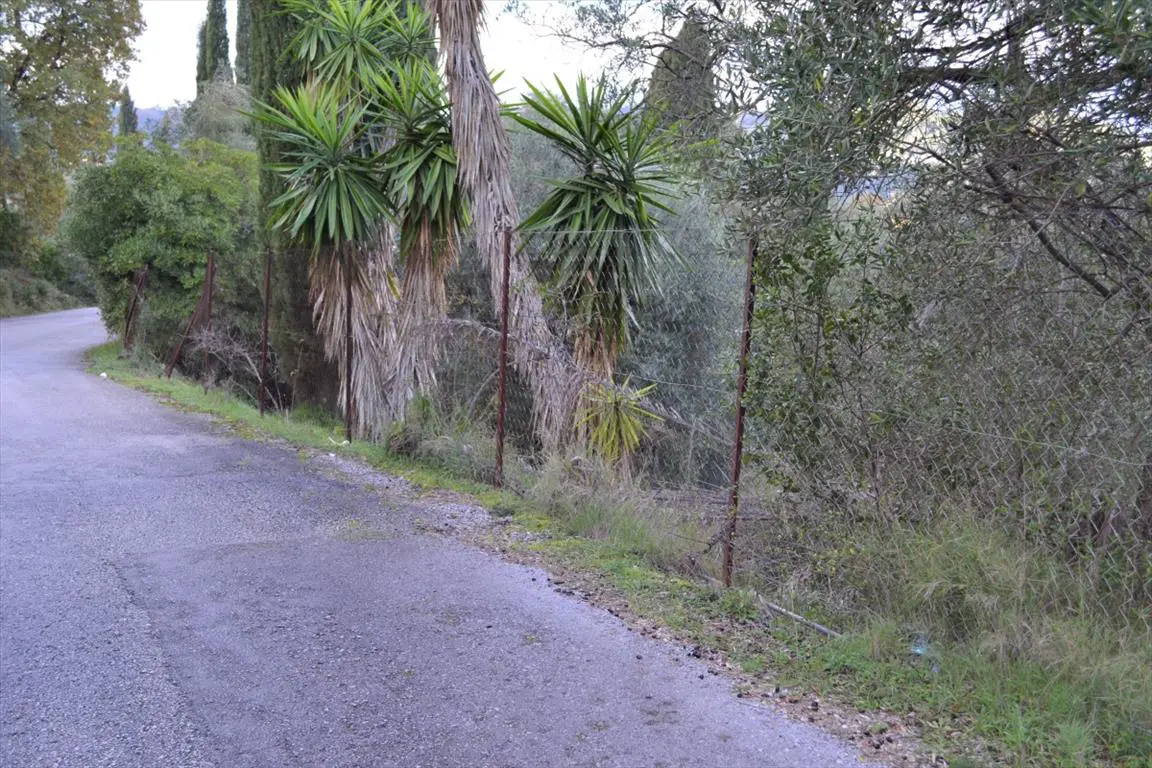 Land Of 5500 M² In Corfu