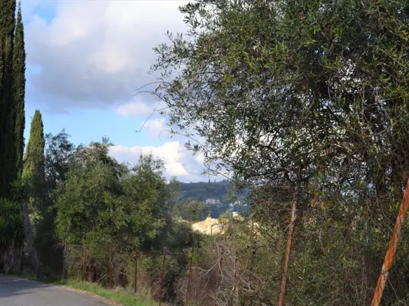 Land In Corfu, Greece