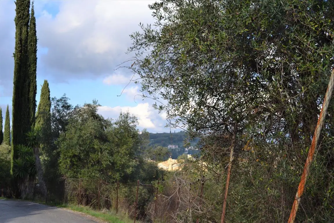 Land Of 5500 M² In Corfu