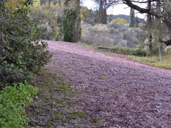 Land In Corfu, Greece