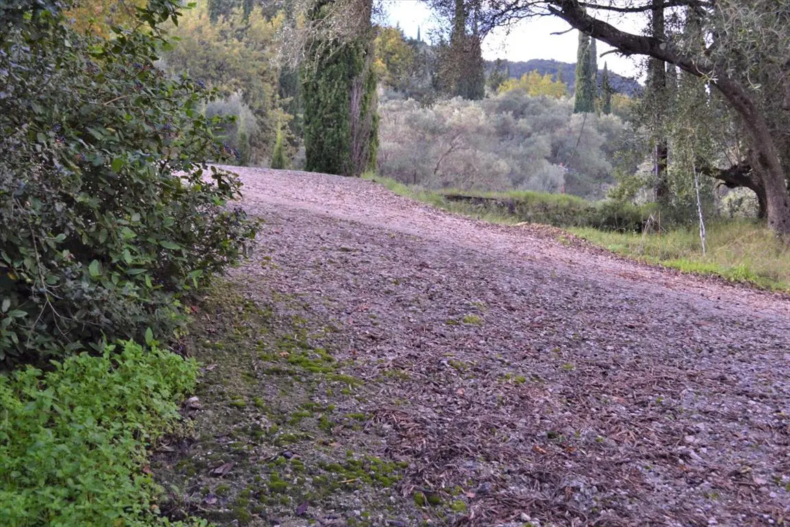 Land Of 5500 M² In Corfu