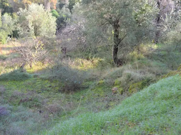 Land In Corfu, Greece