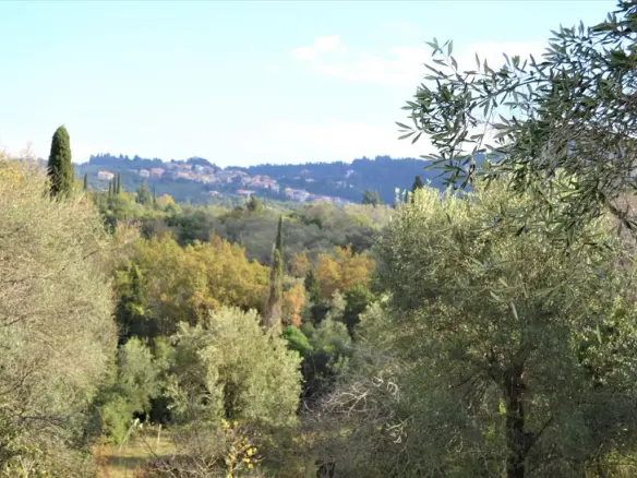 Land In Corfu, Greece