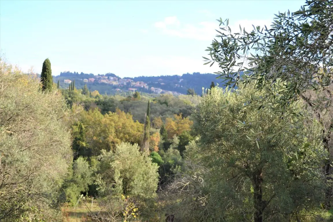 Land Of 5500 M² In Corfu