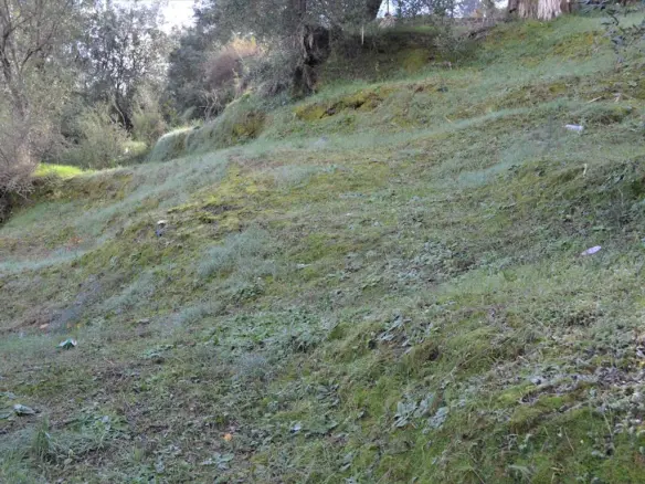 Land In Corfu, Greece