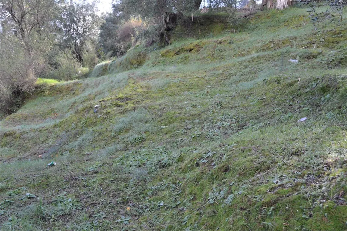 Land Of 5500 M² In Corfu