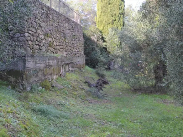 Land In Corfu, Greece