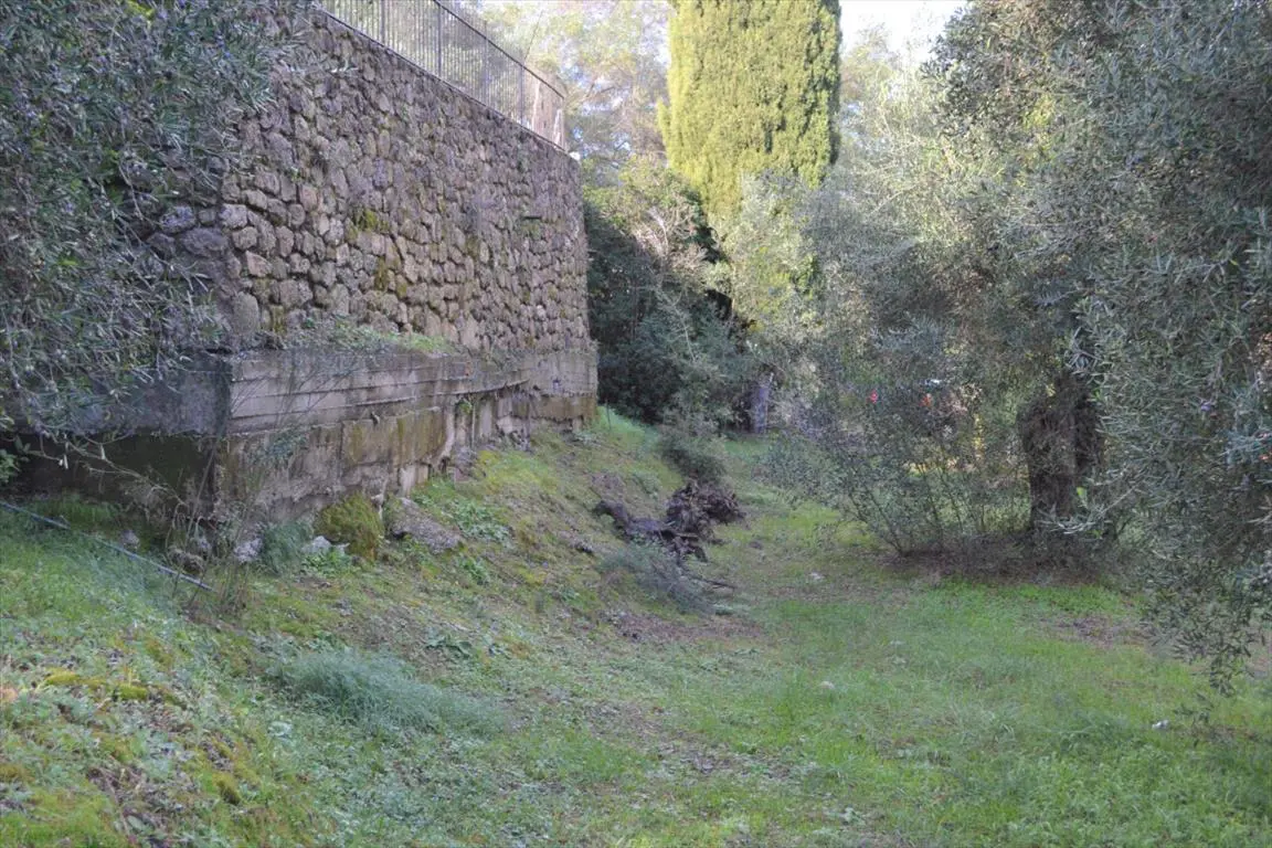 Land Of 5500 M² In Corfu