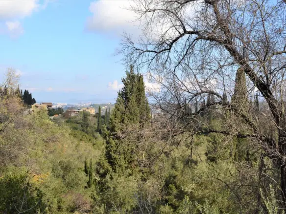 Land In Corfu, Greece
