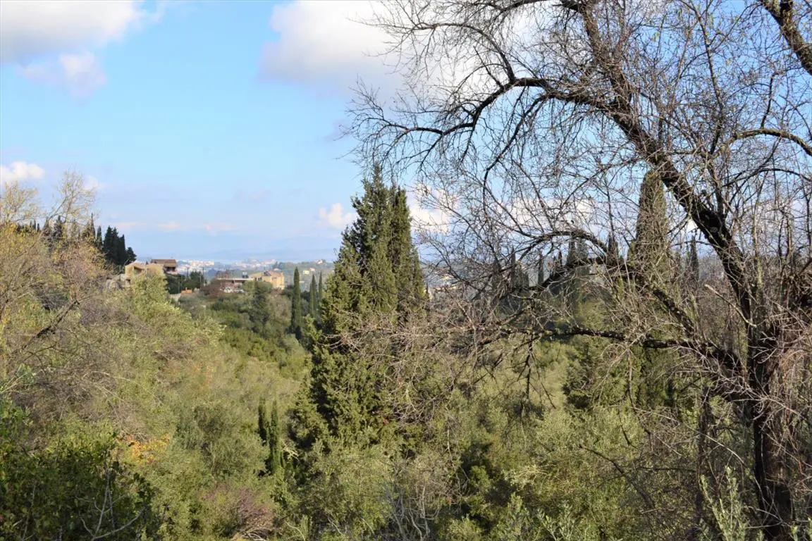 Land Of 5500 M² In Corfu
