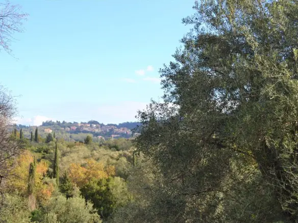Land In Corfu, Greece