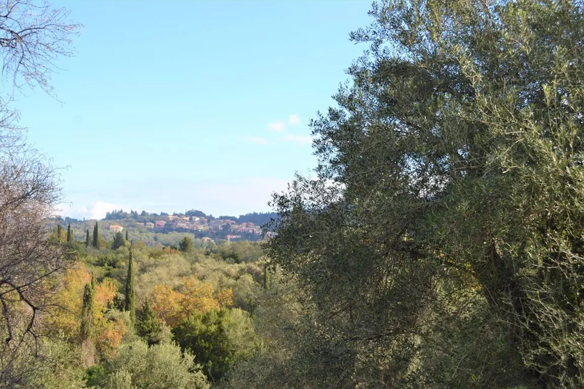 Land Of 5500 M² In Corfu