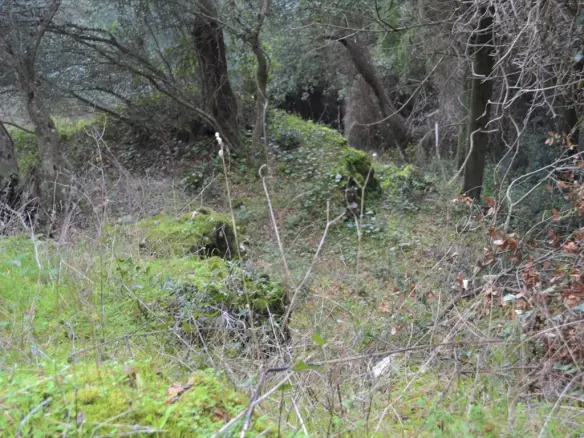 Land In Corfu, Greece