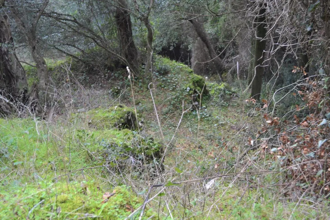 Land Of 4420 M² In Corfu