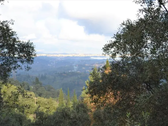 Land In Corfu, Greece