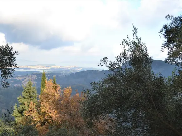 Land In Corfu, Greece