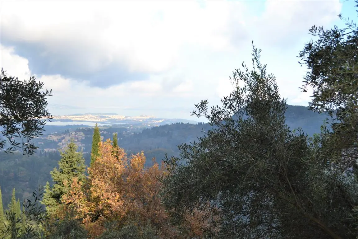 Land Of 4420 M² In Corfu