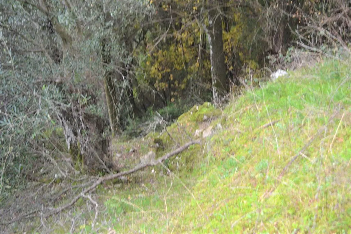 Land Of 4420 M² In Corfu