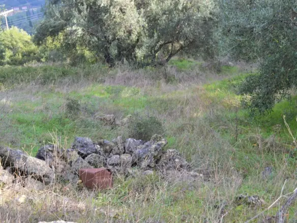 Land In Corfu, Greece