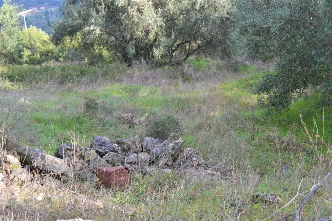 Land Of 4420 M² In Corfu