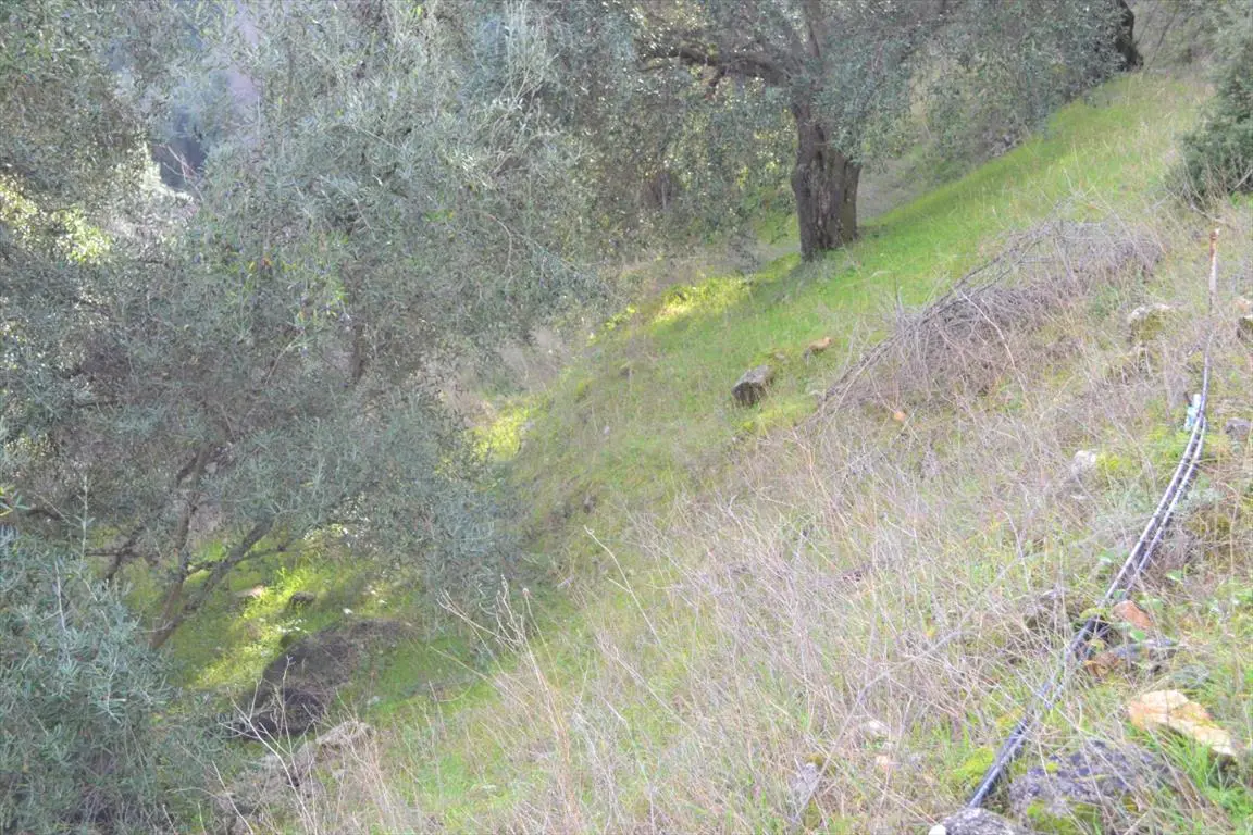 Land Of 4420 M² In Corfu