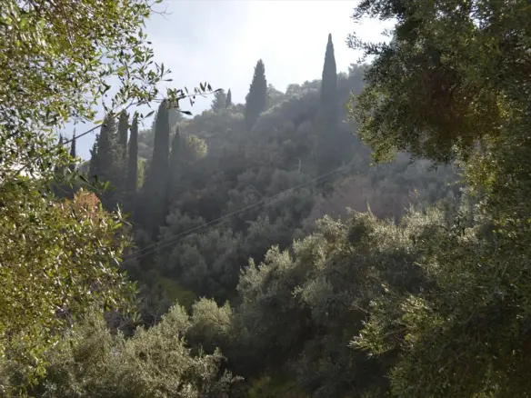 Land In Corfu, Greece