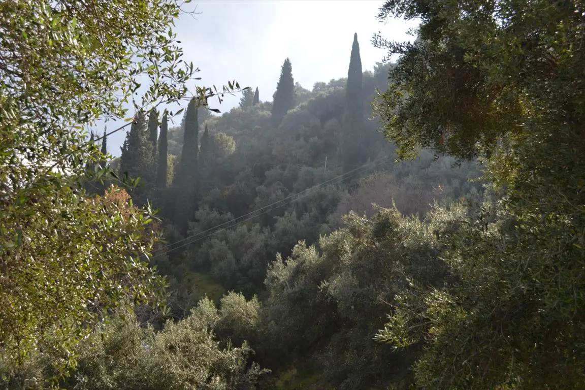Land Of 4420 M² In Corfu