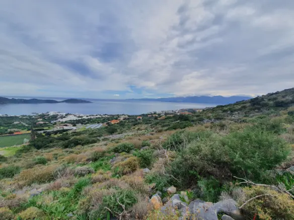 Land Of 5340 M² In Crete